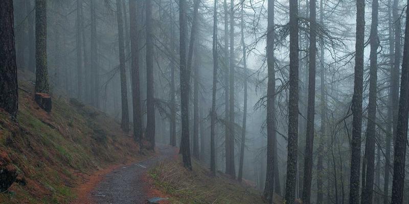 HPV疫苗接种后还需要做宫颈癌筛查吗？妇科医生解析两者关系与检查间隔