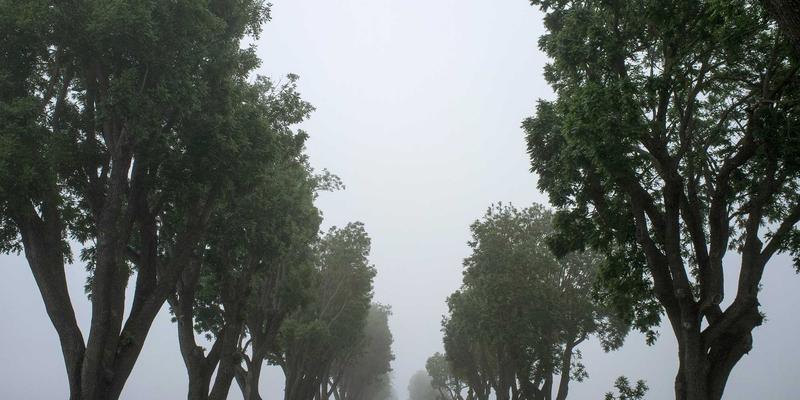 从青春期到育龄期：多囊卵巢综合征（PCOS）的长期妇科诊疗与健康管理策略