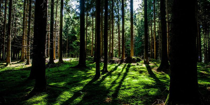 同房后出血需警惕！妇科检查揭秘常见病因与宫颈疾病预防