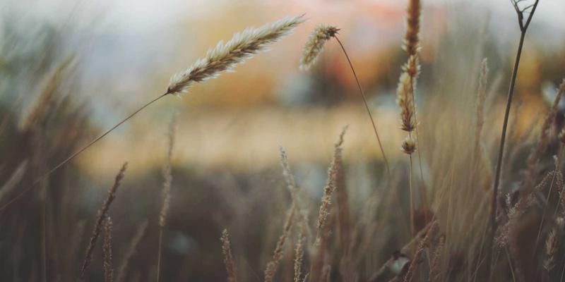 备孕多年未果？妇科医生带你系统了解输卵管通畅性检查的几种方法