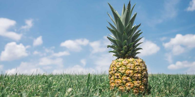 妇科36：现代妇科中心如何通过全周期健康管理守护女性健康