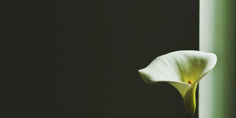 妇科61:从健康管理到专业咨询,守护女性全周期健康