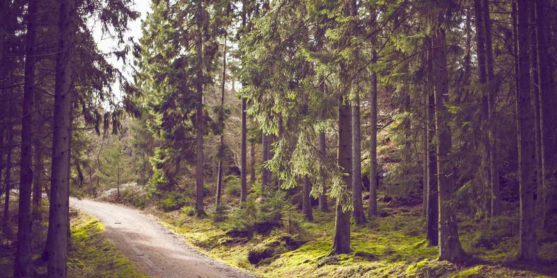 妇科专家解读：HPV阳性不等于宫颈癌！详解病毒分型、科学转阴与定期筛查