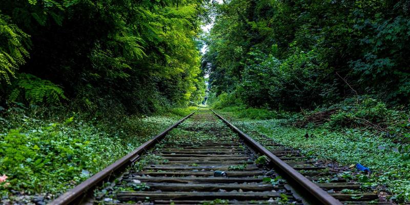 妇科疾病防治指南：从尿失禁到盆腔器官脱垂的全面解析与诊疗方案