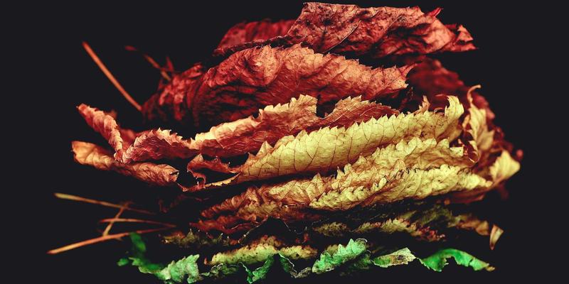 妇科腹腔镜手术恢复期多久？术后护理、饮食与疤痕管理全指南