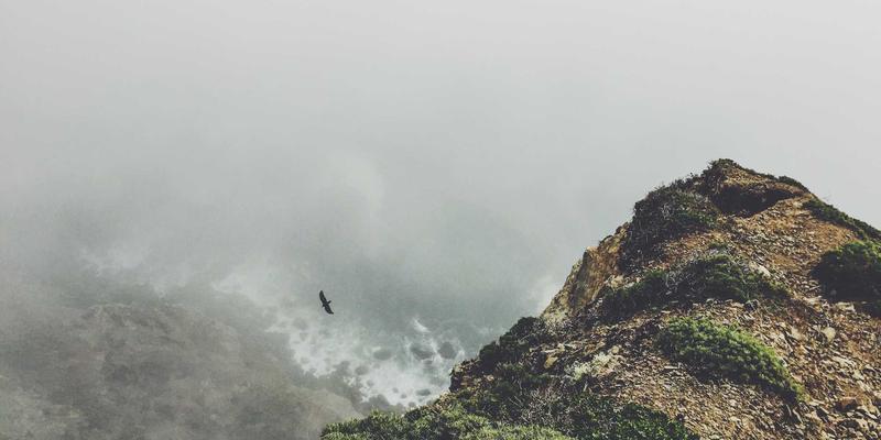 妇科腹腔镜手术：精准诊疗新选择，与传统开腹手术相比优势何在？