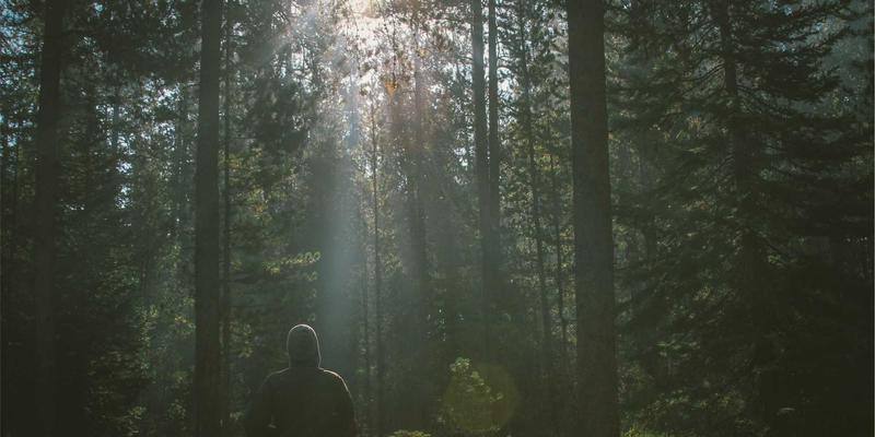 妇科诊疗与女性健康管理：现代女性的全方位健康守护指南