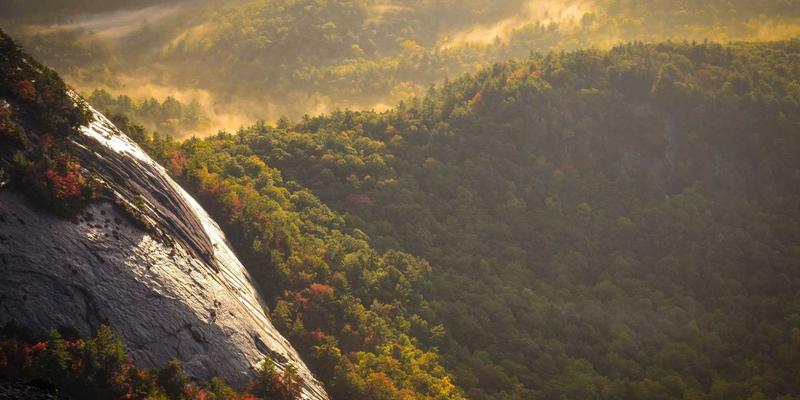 子宫内膜息肉必须手术吗？妇科专家解析保守治疗与宫腔镜切除选择