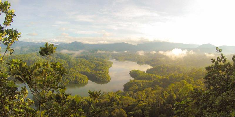 子宫肌瘤一定要手术吗？妇科检查揭示的个性化治疗选择