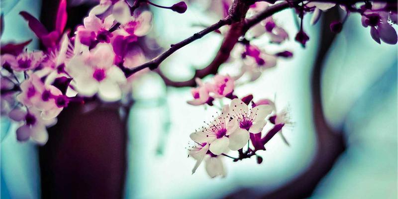 守护女性健康：全面了解妇科诊疗的重要性与科学选择